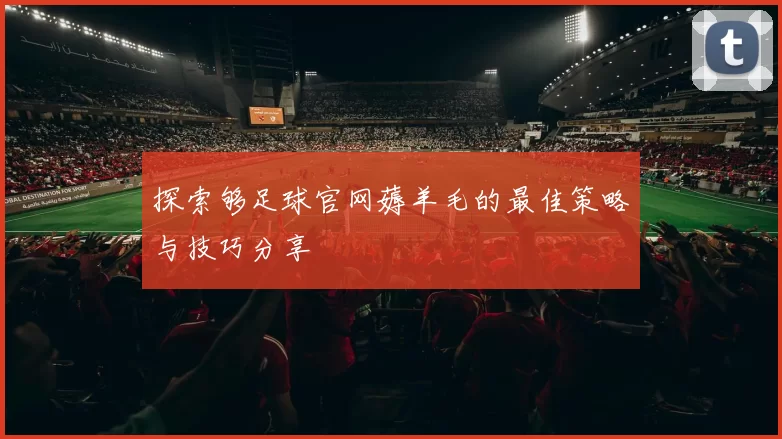 探索够足球官网薅羊毛的最佳策略与技巧分享