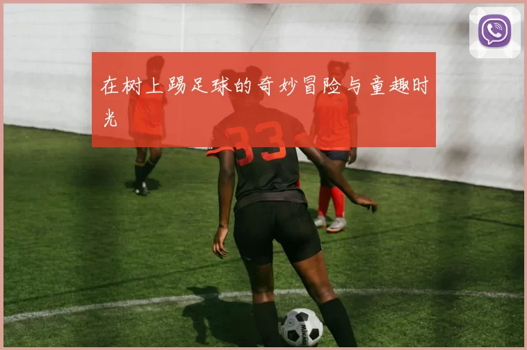在树上踢足球的奇妙冒险与童趣时光